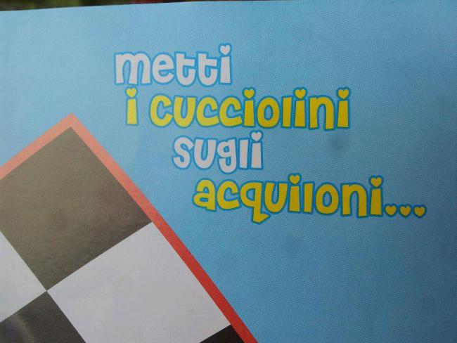 Acquiloni